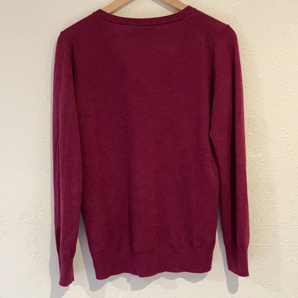 BANANA REPUBLIC Merino Wool Men’s V Neck Sweater Size M